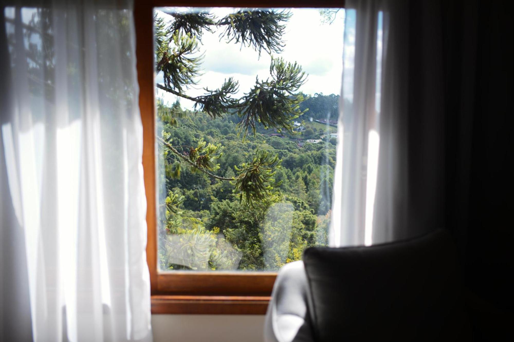 Hotel Meissner Hof Monte Verde Kültér fotó